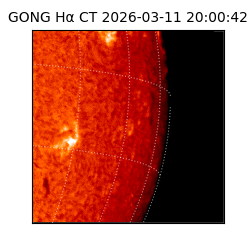 gong - 2026-03-11T20:00:42