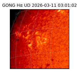 gong - 2026-03-11T03:01:02