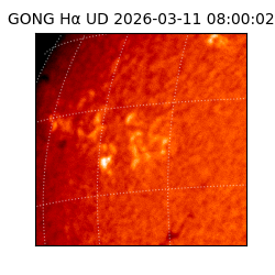 gong - 2026-03-11T08:00:02