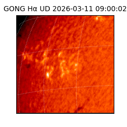 gong - 2026-03-11T09:00:02