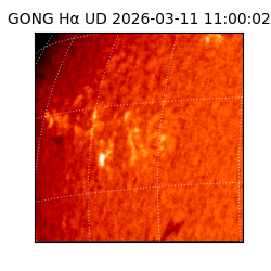 gong - 2026-03-11T11:00:02