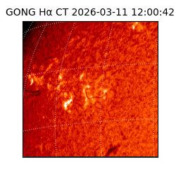 gong - 2026-03-11T12:00:42