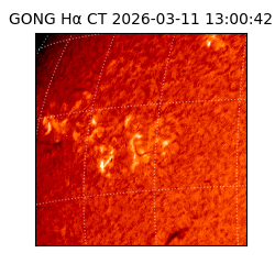 gong - 2026-03-11T13:00:42