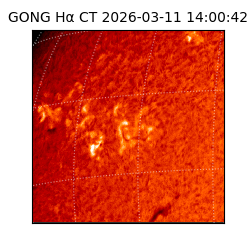 gong - 2026-03-11T14:00:42