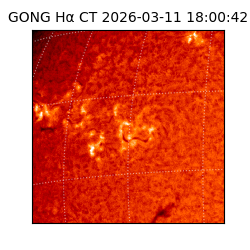 gong - 2026-03-11T18:00:42