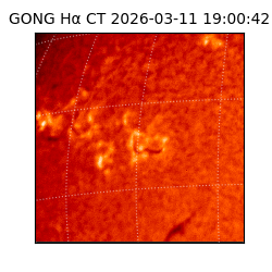 gong - 2026-03-11T19:00:42