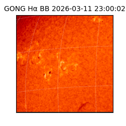 gong - 2026-03-11T23:00:02