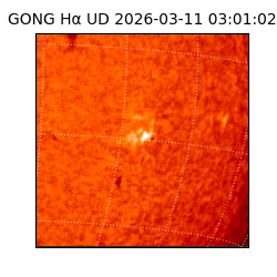 gong - 2026-03-11T03:01:02