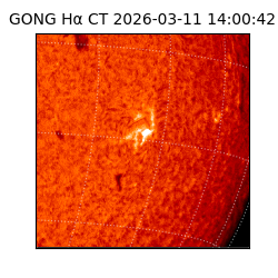 gong - 2026-03-11T14:00:42
