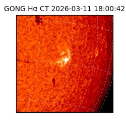 gong - 2026-03-11T18:00:42