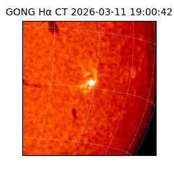 gong - 2026-03-11T19:00:42