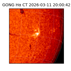 gong - 2026-03-11T20:00:42