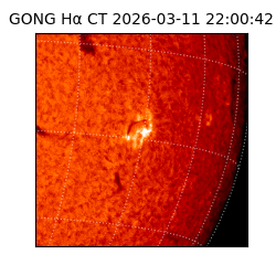 gong - 2026-03-11T22:00:42
