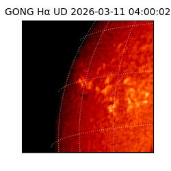 gong - 2026-03-11T04:00:02