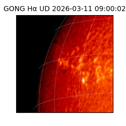 gong - 2026-03-11T09:00:02