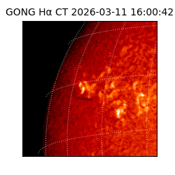 gong - 2026-03-11T16:00:42