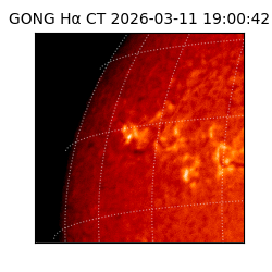 gong - 2026-03-11T19:00:42