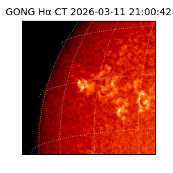 gong - 2026-03-11T21:00:42