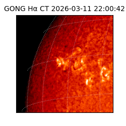 gong - 2026-03-11T22:00:42