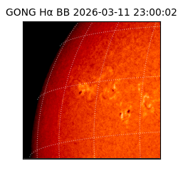 gong - 2026-03-11T23:00:02