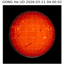 gong - 2026-03-11T04:00:02
