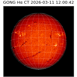 gong - 2026-03-11T12:00:42