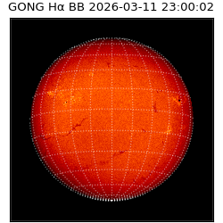 gong - 2026-03-11T23:00:02