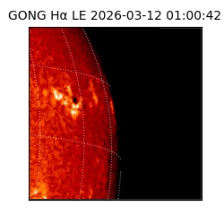 gong - 2026-03-12T01:00:42