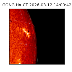 gong - 2026-03-12T14:00:42