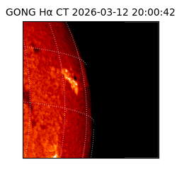 gong - 2026-03-12T20:00:42