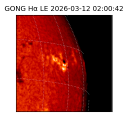 gong - 2026-03-12T02:00:42