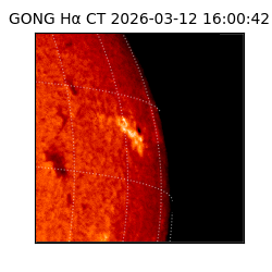 gong - 2026-03-12T16:00:42