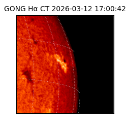 gong - 2026-03-12T17:00:42