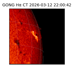 gong - 2026-03-12T22:00:42