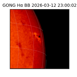 gong - 2026-03-12T23:00:02
