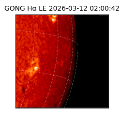 gong - 2026-03-12T02:00:42