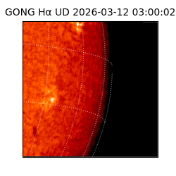 gong - 2026-03-12T03:00:02