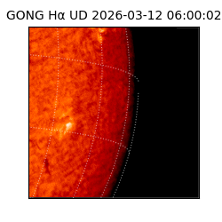 gong - 2026-03-12T06:00:02