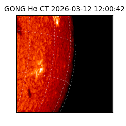 gong - 2026-03-12T12:00:42