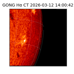 gong - 2026-03-12T14:00:42