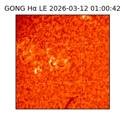 gong - 2026-03-12T01:00:42