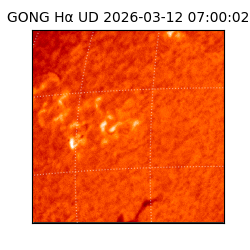 gong - 2026-03-12T07:00:02