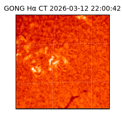 gong - 2026-03-12T22:00:42