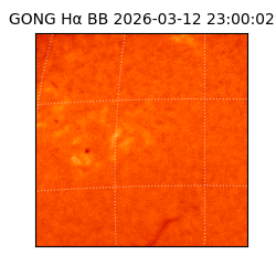 gong - 2026-03-12T23:00:02