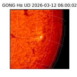 gong - 2026-03-12T06:00:02