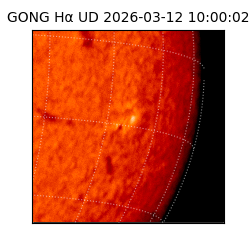 gong - 2026-03-12T10:00:02