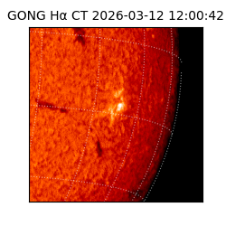 gong - 2026-03-12T12:00:42