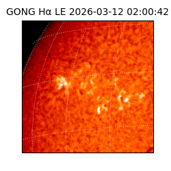 gong - 2026-03-12T02:00:42