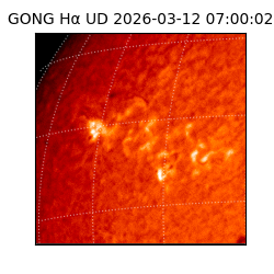 gong - 2026-03-12T07:00:02