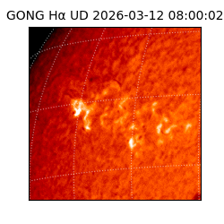 gong - 2026-03-12T08:00:02